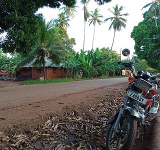 Green Village