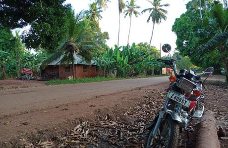 Green Village