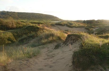 Merthyr Mawr Sand Dunes