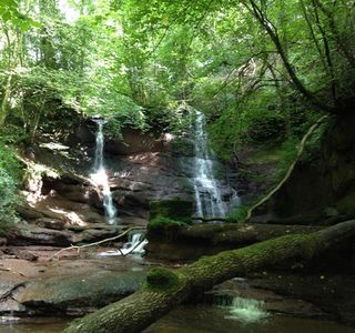 Pwll-y-wrach Nature Reserve