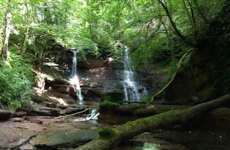 Pwll-y-wrach Nature Reserve