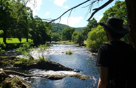 Gwydir Forest