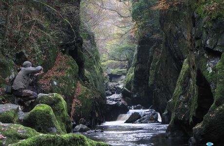 Conwy Falls