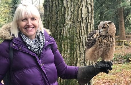The Welsh Owl Garden