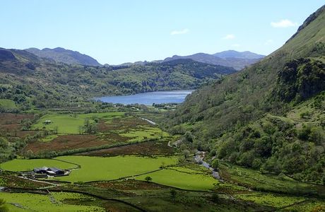 Snowdonia Safaris