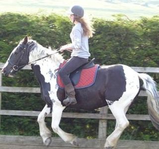 Happy Valley Riding School