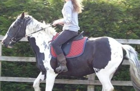 Happy Valley Riding School