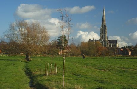 Harnham Water Meadows
