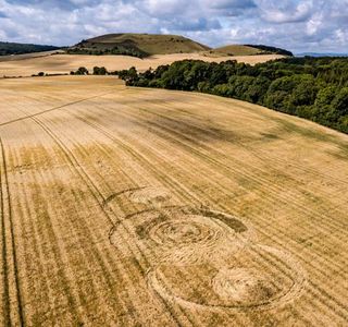 Wiltshire Farmers Market