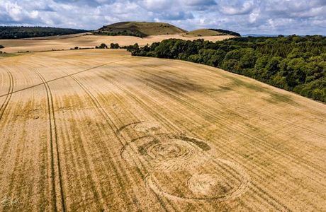 Wiltshire Farmers Market