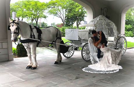 White Horse Trekking and Carriage Driving Centre