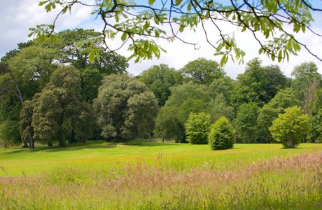 Singleton Park