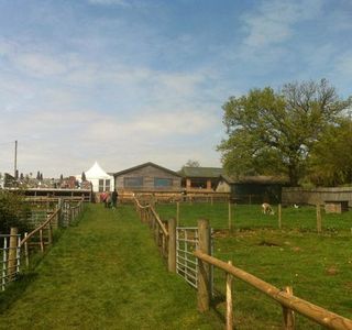 Thornhill Farm Shop