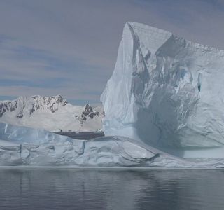 Polar Ice Peoria