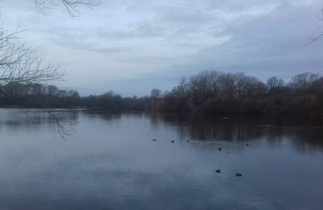 Wilson Pits Nature Reserve