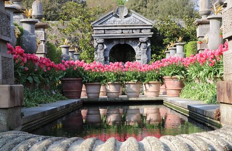 The Earl's Garden