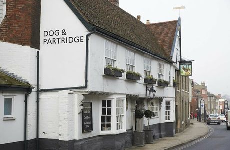 The Dog & Partridge