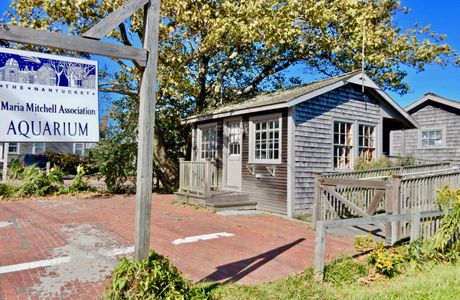 Maria Mitchell Association