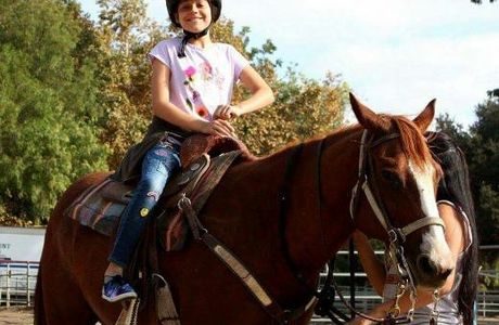 Country Trails And Riding School