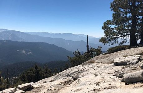 Little Baldy Trail