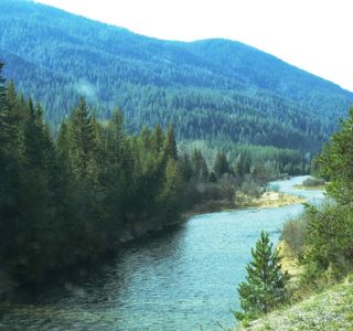 Moyie River