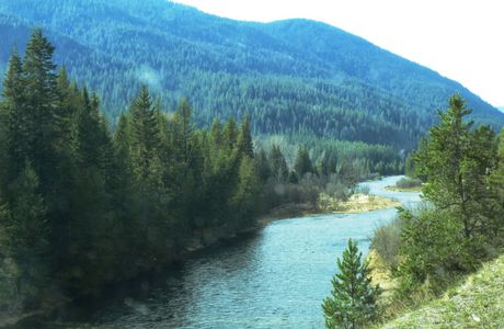 Moyie River