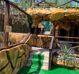 Contact Zoo
