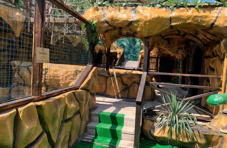 Contact Zoo