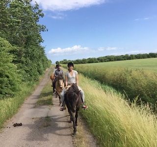 Copenhagen Horseback Riding