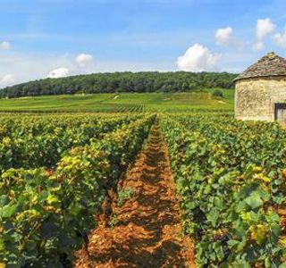 Flavour Route (Route des Saveurs)