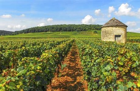 Flavour Route (Route des Saveurs)