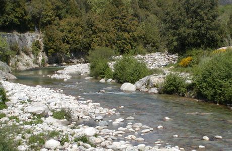 Gravona River