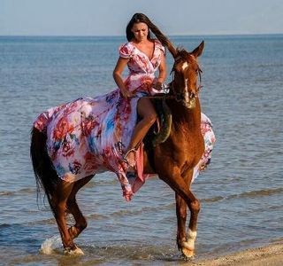 Miso Horse Riding Trips
