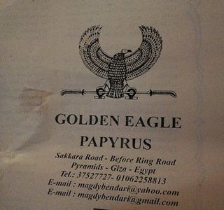 Golden Eagle Papyrus