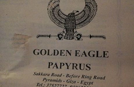 Golden Eagle Papyrus