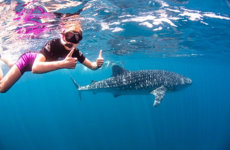 Ningaloo Aquarium & Discovery Centre