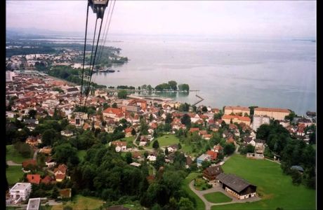 Fussacher Bucht Rohrspitz