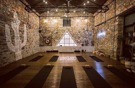 The Cactus Yoga Studio