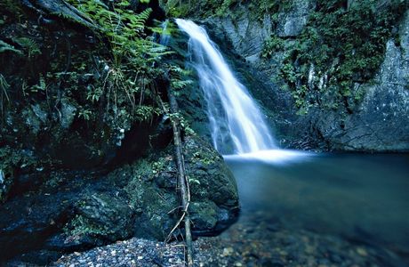 Sentiero Naturalistico Piave