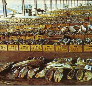 Fish Market
