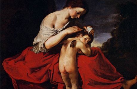 Le Delizie di Venere