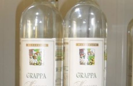 Azienda Vitivinicola Mazzucato Romeo