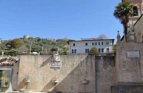 Fontana Del Marzocco