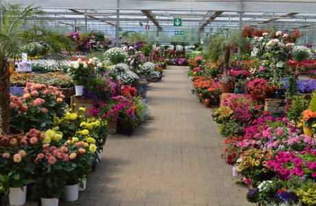 Greenhouse Garden Center