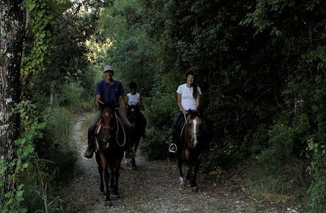 Front Ranch