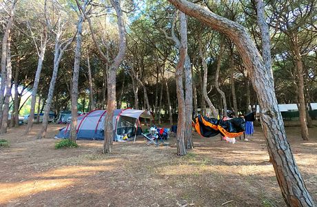 Camping Is Aruttas