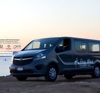 Easy Move - Transfer and Tours