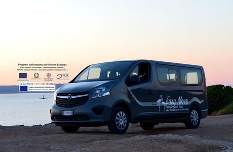 Easy Move - Transfer and Tours