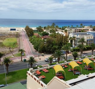 Fund Grube Palm Garden