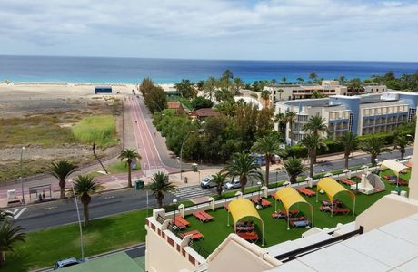 Fund Grube Palm Garden